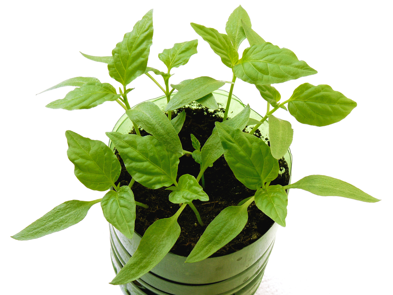 A Green Approach to Handling Unwanted Pots and Pans